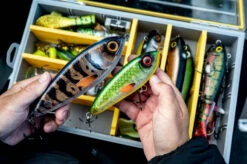 Abu Garcia Abu Svartzonker McTracer -Anglerparadies 1572597r 5