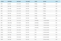 Vision Attack WF 5 Vision Attack WF -Anglerparadies VC3Fr 3