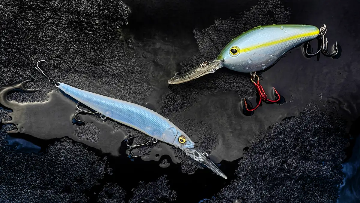 Titelseite -Anglerparadies crankbait vs jerkbait